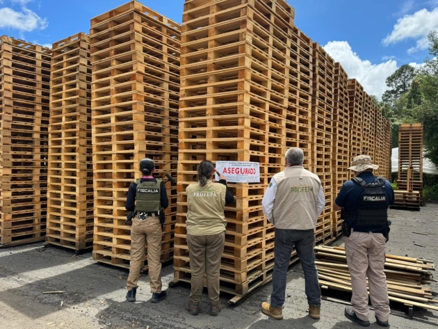 Participa FGE en operativo conjunto que derivó en aseguramiento precautorio de productos forestales  en Madero