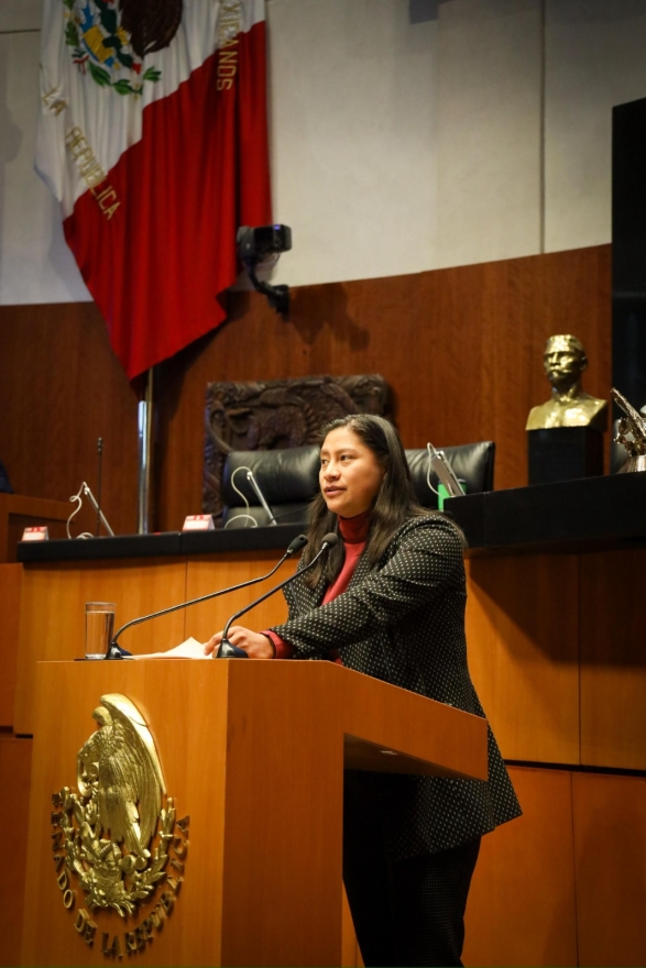 Celeste Ascencio continúa su labor legislativa en el Senado con iniciativas que fortalecen a todos  