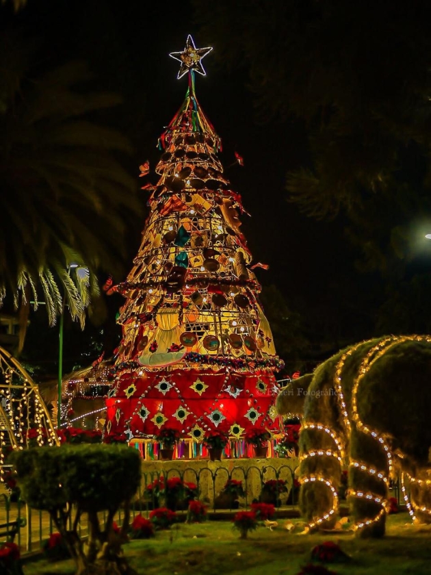 Erongarícuaro invita a visitar su comunidad y disfrutar entre muchas cosas de su Árbol Navideño Monumental   