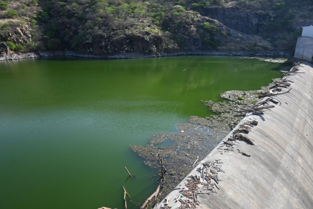 Asegurado el riego agrícola; presas de Michoacán al 75 % de capacidad: Conagua Michoacán 